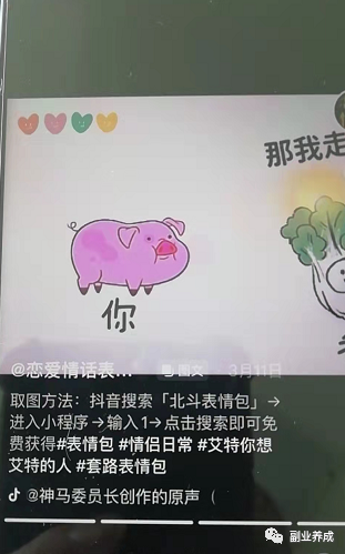 抖音表情包项目：做副业，一天弄个200-300块