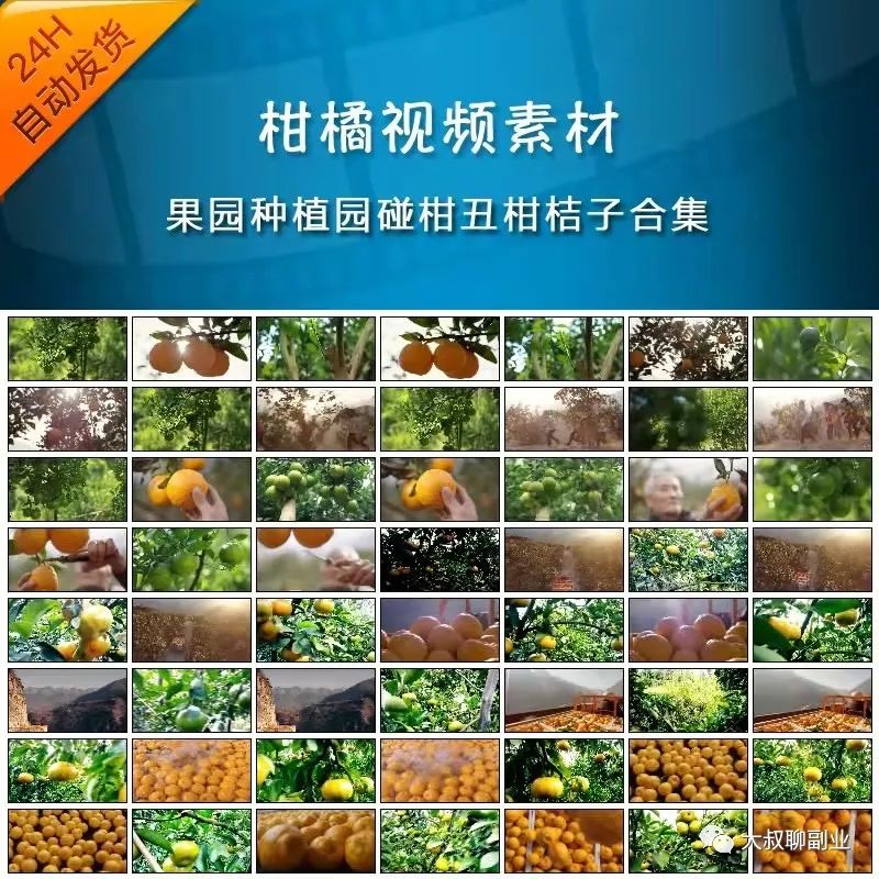 空手套白狼的抖音赚钱项目，日赚500＋